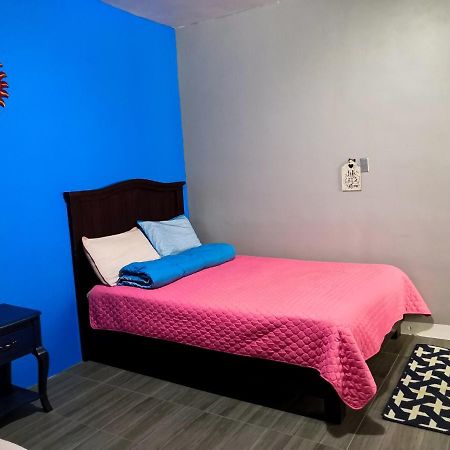 Montealban House Bed and Breakfast Oaxaca Zewnętrze zdjęcie