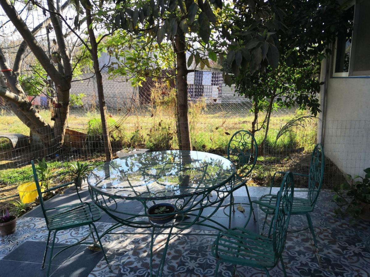 Montealban House Bed and Breakfast Oaxaca Zewnętrze zdjęcie